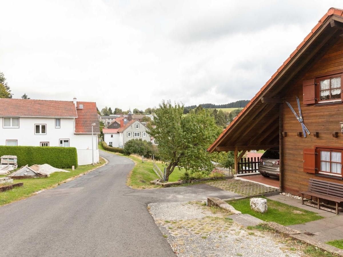 Chalet In Hinterrod Thuringia With Sauna Eisfeld Exterior foto